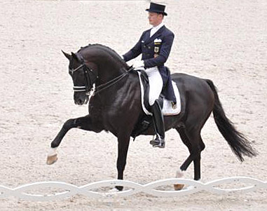 Dressur Europameister TOTILAS und Mathias-Alexander Rath - ein Enkel des Trakehner Hengstes Kostolany - Foto: Tim Mller - Trakehner Gestt Hmelschenburg