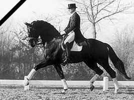 Gribaldi von Kostolany u.d. Gondola v. Ibikus