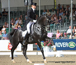 Totilas v. Gribaldi (v. Kostolany), Foto: Anni Smith, www.Hippodot.com