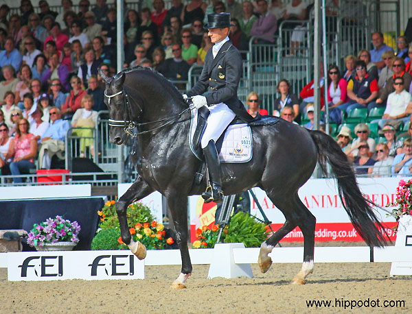 Totilas v. Gribaldi (v. Kostolany), Foto: Anni Smith, www.Hippodot.com