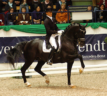 Dressur Europameister TOTILAS und Edward Gal - ein Enkel des Trakehner Hengstes Kostolany - Foto: Beate Langels - Trakehner Gestt Hmelschenburg