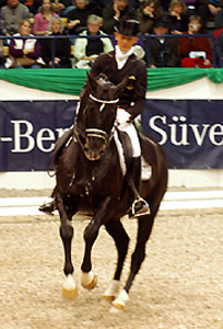 Dressur Europameister TOTILAS und Edward Gal - ein Enkel des Trakehner Hengstes Kostolany - Foto: Beate Langels - Trakehner Gestt Hmelschenburg