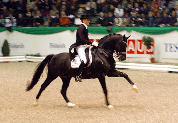 Dressur Europameister TOTILAS und Edward Gal - ein Enkel des Trakehner Hengstes Kostolany - Foto: Beate Langels - Trakehner Gestt Hmelschenburg