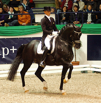 Dressur Europameister TOTILAS und Edward Gal - ein Enkel des Trakehner Hengstes Kostolany - Foto: Beate Langels - Trakehner Gestt Hmelschenburg