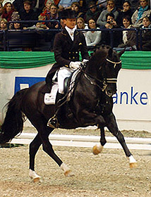 Kostolany-Enkel Totilas v. Gribaldi und Edward Gal - Foto: Beate Langels, Gestt Hmelschenburg