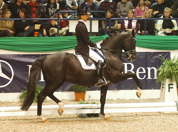 Dressur Europameister TOTILAS und Edward Gal - ein Enkel des Trakehner Hengstes Kostolany - Foto: Beate Langels - Trakehner Gestt Hmelschenburg