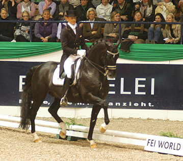 Dressur Europameister TOTILAS und Edward Gal - ein Enkel des Trakehner Hengstes Kostolany - Foto: Beate Langels - Trakehner Gestt Hmelschenburg