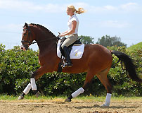 Trzguet v. Freudenfest u.d. Pr.u.StPrSt. Tavolara v. Exclusiv