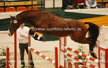 Trzguet von Freudenfest u.d. Tavolara v. Exclusiv, Foto: Lafrentz