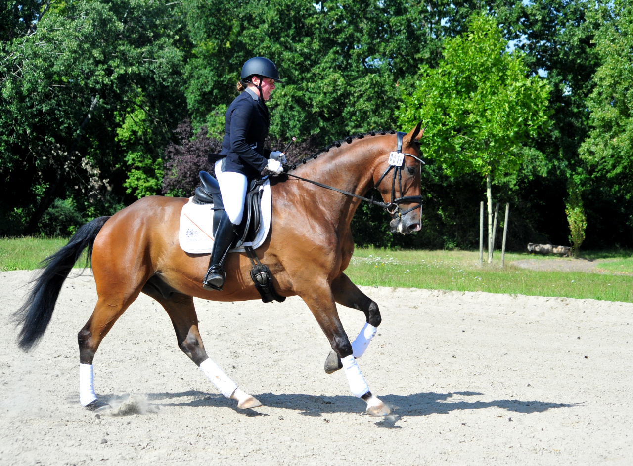 Tom Taylor v. Zauberdeyk x Saint Cyr, Foto Beate Langels