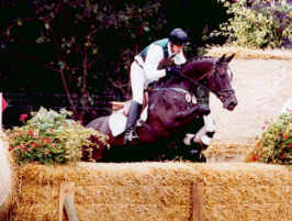 finalist at teh Bundeschampionate for young German bred eventhorses 
	in 2001