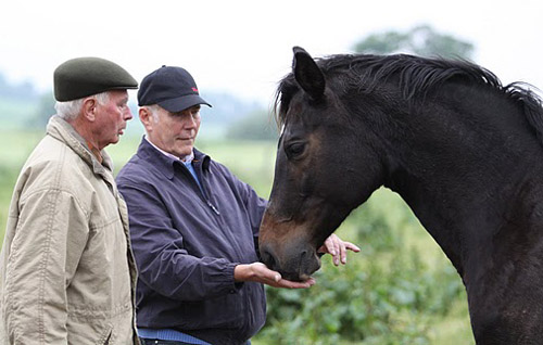 Elitestute Schwalbenspiel v. Exclusiv - Foto: Ulrike Sahm