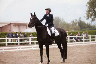 Uranos - Trakehner von Kostolany - Saint Cloud, Foto: privat