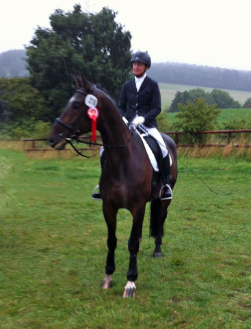 Valpiano 2014 - Foto: Rutsch, Trakehner Gestt Hmelschenburg