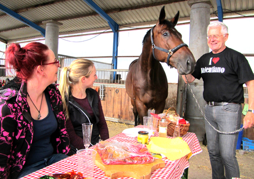 Valentiano v. Exclusiv u.d. Vicenza - Foto: Beate Langels - Trakehner Gestt Hmelschenburg