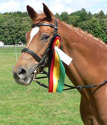 Ventulany v. Kostolany u.d. Venus v. Mozart und Stefanie Vollstedt