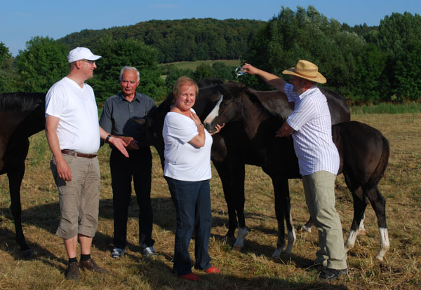 Taufe des Trakehner Hengstfohlens VERMENTINO von Alter Fritz u.d. Prmienstute Vittoria v. Exclusiv - Showmaster, Gestt Hmelschenburg