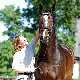 Viareggio - Dunkelbrauner Trakehner Wallach von Exclusiv - Showmaster und Felicitas Tebbe