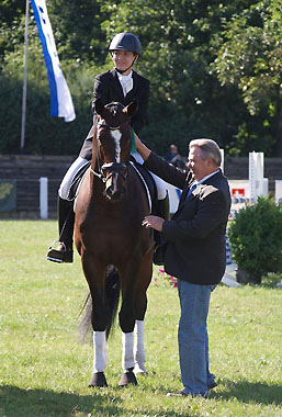 Viareggio - Dunkelbrauner Trakehner Wallach von Exclusiv - Showmaster und Kerstin Lehmann