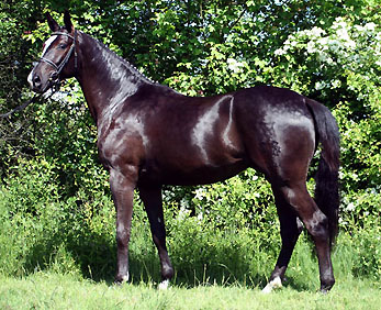 Vicente v. Exclusiv x Kostolany, Foto: Ulrike Sahm