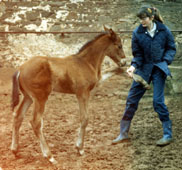 Vicomte von Karon - ca. 4 Wochen alt