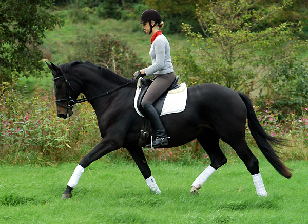 Prmienstute Vitalia v. Exclusiv - Showmaster, Gestt Hmelschenburg, Foto: Beate Langels