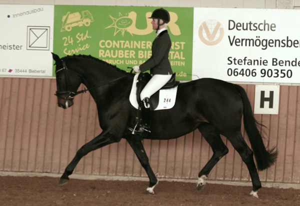 Vitalia v. Exclusiv - Showmaster, Gestt Hmelschenburg, Foto: privat