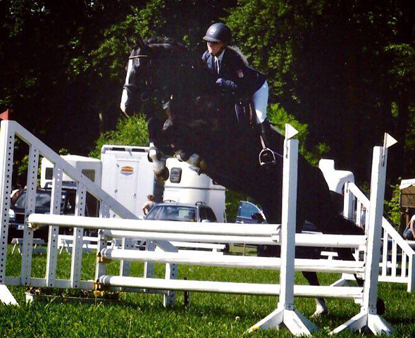 Greenwich Park - Hengst von Saint Cyr x Alter Fritz x Kostolany - Foto: von Rnne - Trakehner Gestt Hmelschenburg