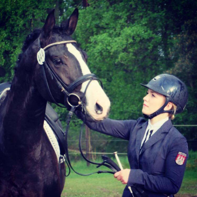 Greenwich Park - Hengst von Saint Cyr x Alter Fritz x Kostolany - Foto: von Rnne - Trakehner Gestt Hmelschenburg