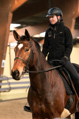 Ascari von Freudenfest x Lauries Crusador xx - Foto: Christians - Trakehner Gestt Hmelschenburg