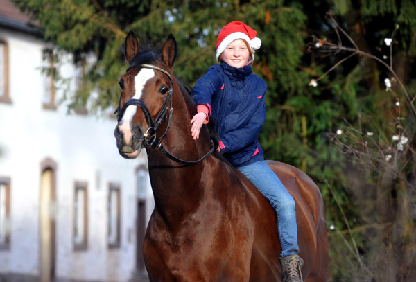 Hmelschenburger Hauptvererber Freudenfest v. Tolstoi und Johanna - Trakehner Gestt Hmelschenburg - Foto: Beate Langels - Trakehner Gestt Hmelschenburg