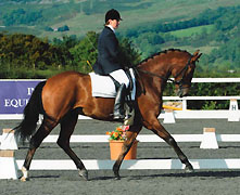 Silencio und Corinna Wyse