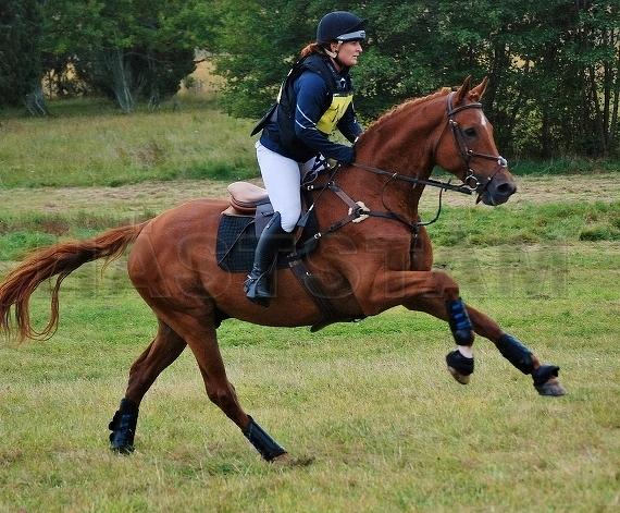 Zauberdeyk von Van Deyk - Friedensfrst - Trakehner Gestt Hmelschenburg  - copyright by Jan Reumann